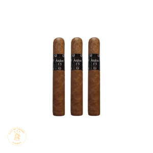 Asylum 13 Robusto 3'S